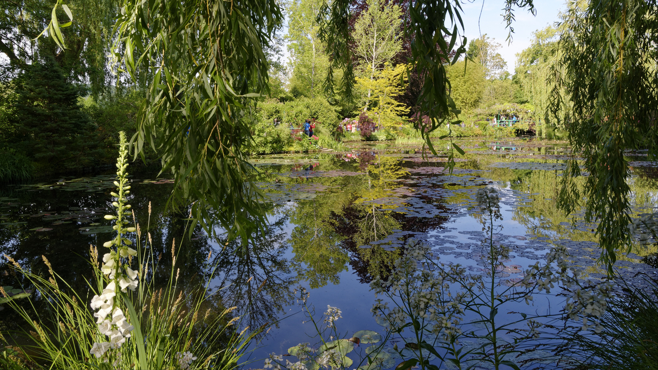 20190529-100701•Giverny (Jardin de Monet)•Limetz-Villez•Ile-de-France•France